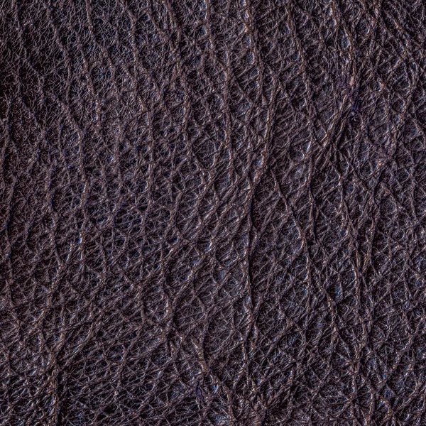 Brown wrinkled leather texture closeup — Stock Photo, Image