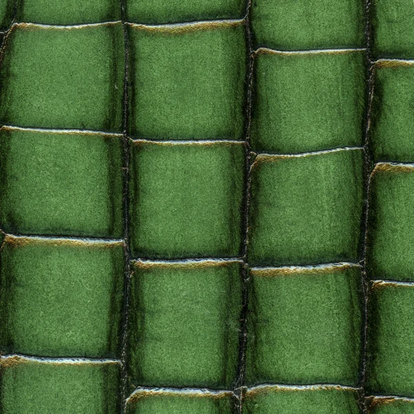 Groene materiële structuur van het oppervlak — Stockfoto