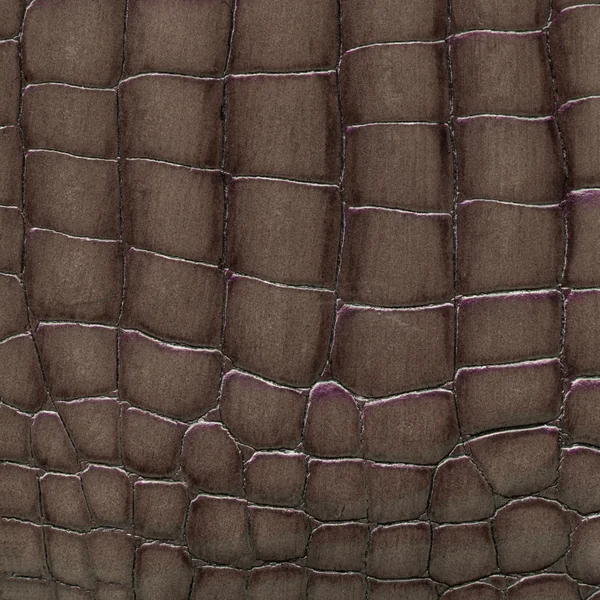 Fragment of pattern of brown reptile skin — Stock Photo, Image