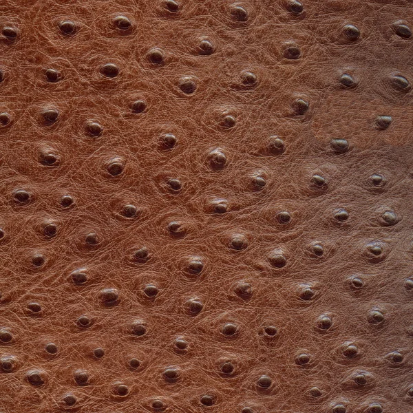 Brown artificial leather texture — Stock Photo, Image