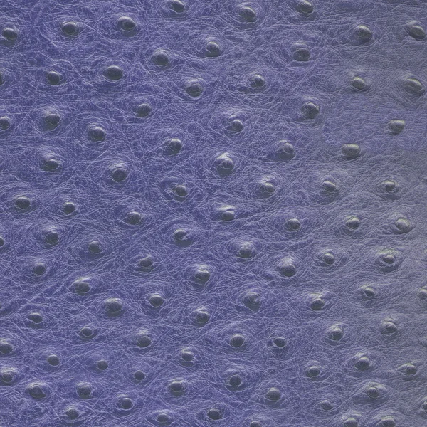 Violet artificial leather texture — Stock Photo, Image