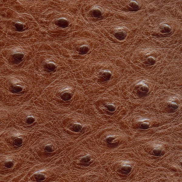 Detailní textury hnědé koženkové — Stock fotografie