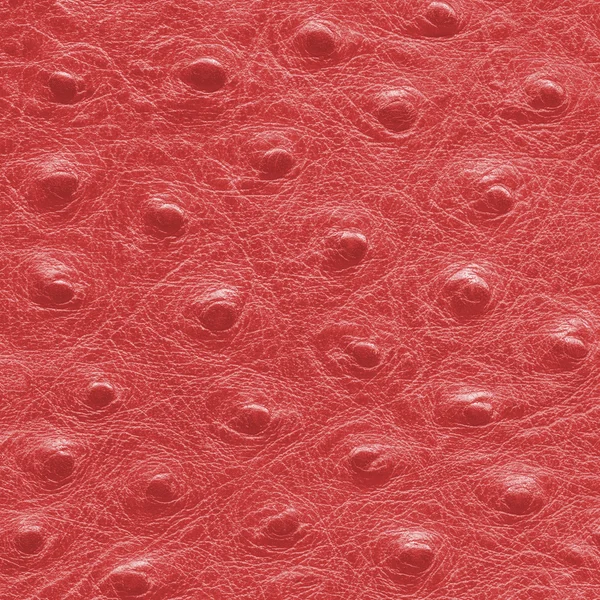 Red artificial leather texture closeup — Stock Photo, Image