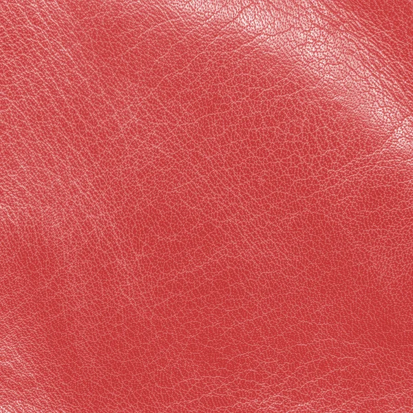 Shiny red  leather texture — Stock Photo, Image