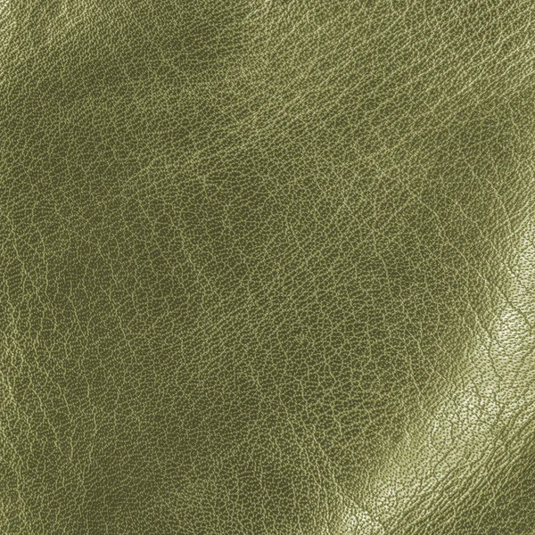 Textura de cuero verde brillante —  Fotos de Stock