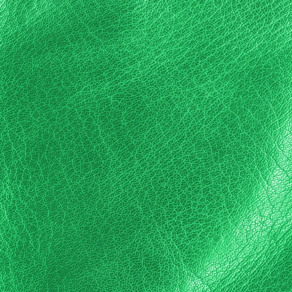 Texture in pelle verde chiaro lucido — Foto Stock