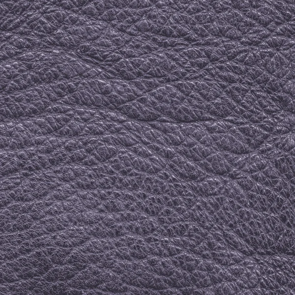 Texture in pelle viola primo piano — Foto Stock