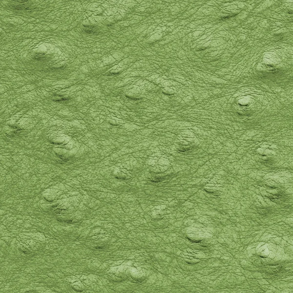Detailní textury zelené koženky. Vhodné jako pozadí — Stock fotografie