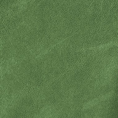 yeşil deri dokusu