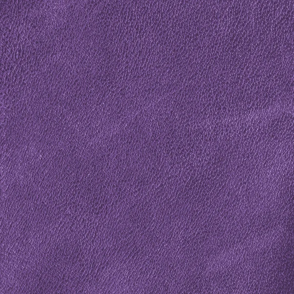 Violet leather texture — Stock Photo, Image