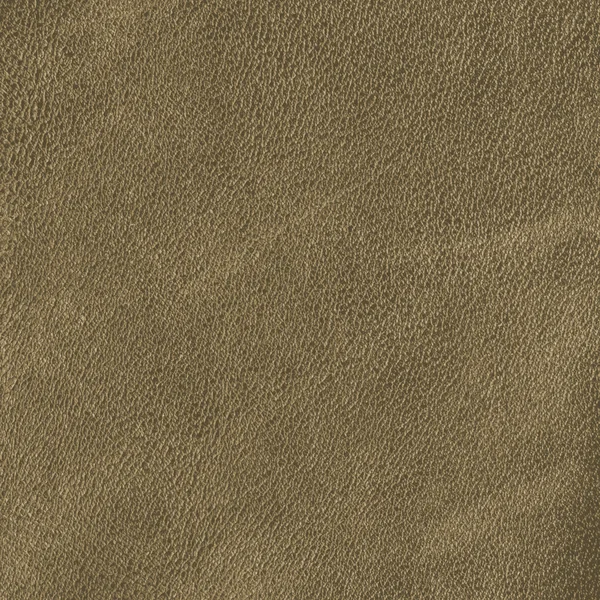 Brown leather texture — Stock Photo, Image