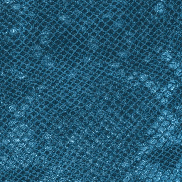 Texture de peau de serpent artificiel bleu — Photo