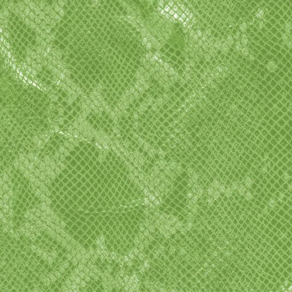Zelený had umělé kůže textury closeup — Stock fotografie