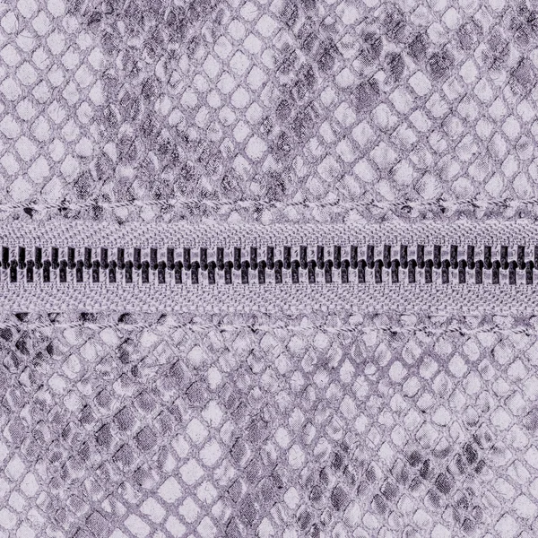 Světle fialová umělá hadí kůže textury closeup, zip — Stock fotografie