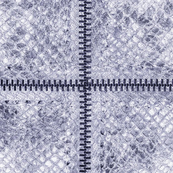 Violet artificial snake skin texture closeup, zipper — Stock Photo, Image