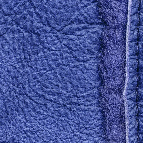 Combinaison de textures cuir et fourrure peintes en bleu — Photo