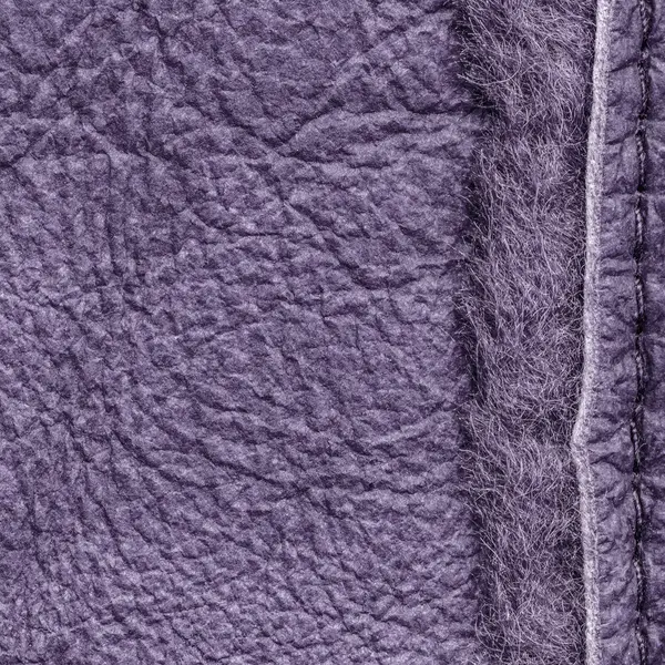 Combination of leather and fur textures painted violet — Stock Photo, Image