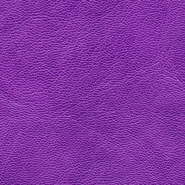 Textura de couro violeta close-up — Fotografia de Stock