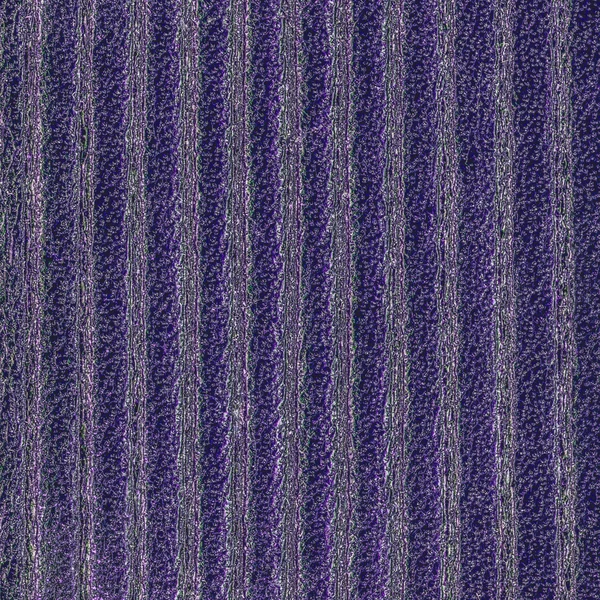 Violeta fondo de cuero artificial, líneas —  Fotos de Stock