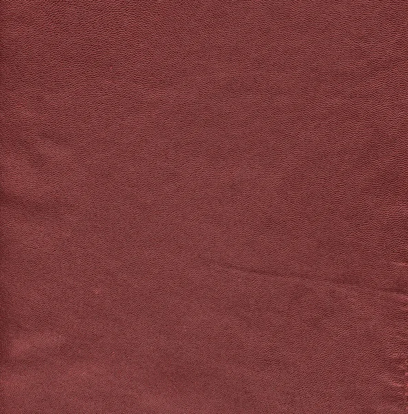 A fragment of a piece of red-brown leather closeup — Stock Photo, Image