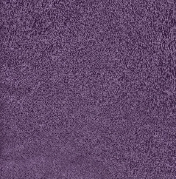 A fragment of a piece of old violet leather — Stock Photo, Image