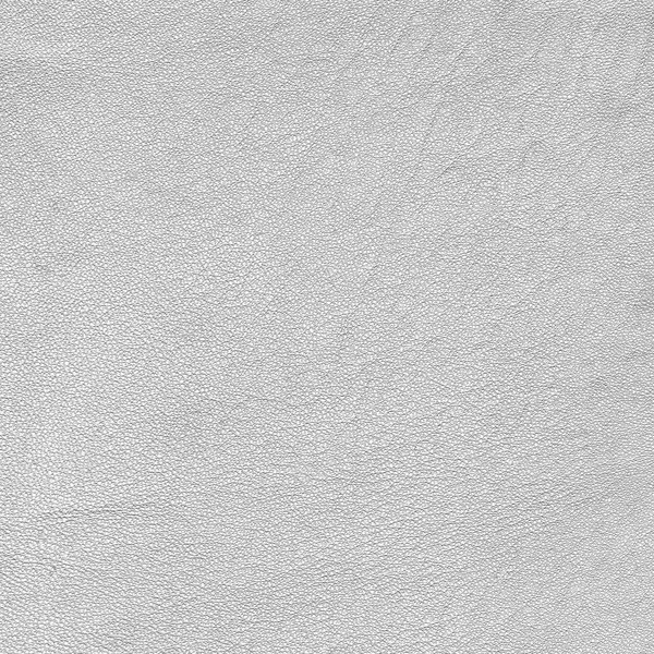 Textura de couro branco . — Fotografia de Stock