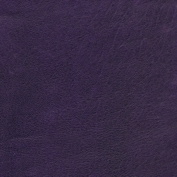 Mörk violett läder texture. Kan användas för bakgrund — Stockfoto