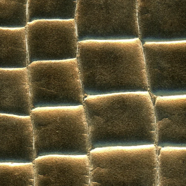 Złoty wąż skóra tekstura zbliżenie — Zdjęcie stockowe