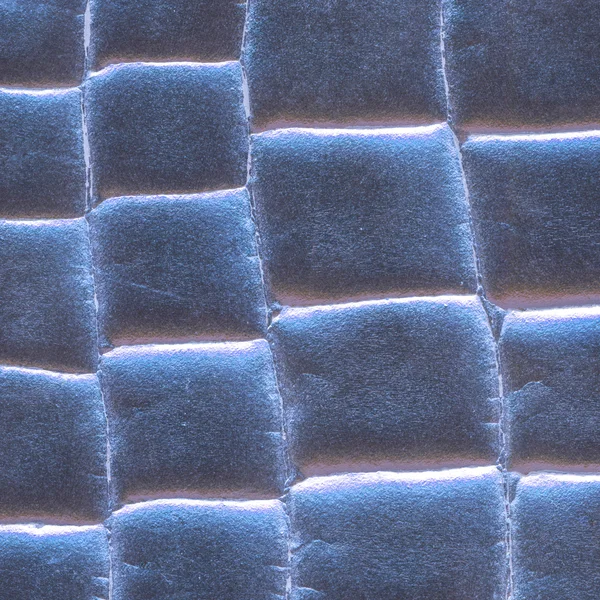 Blue snake skin texture closeup.Useful as background — Stock Photo, Image