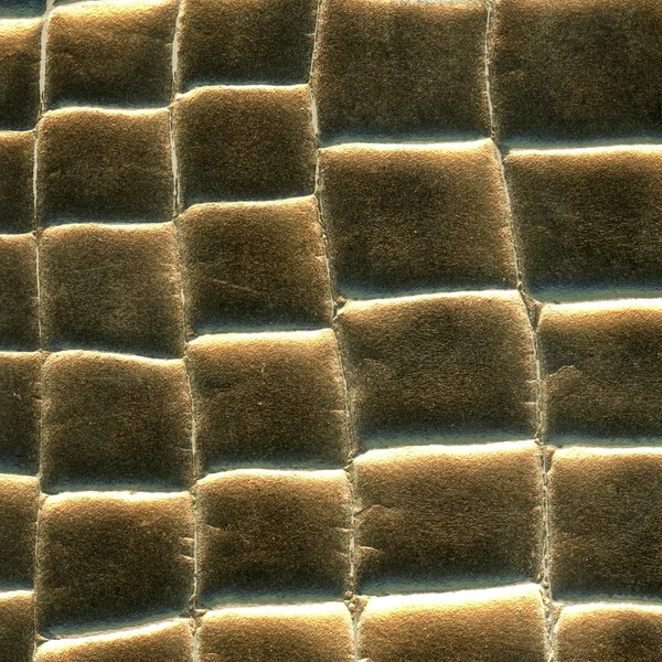 Tło wąż naturalne skóry malowane złotem — Zdjęcie stockowe