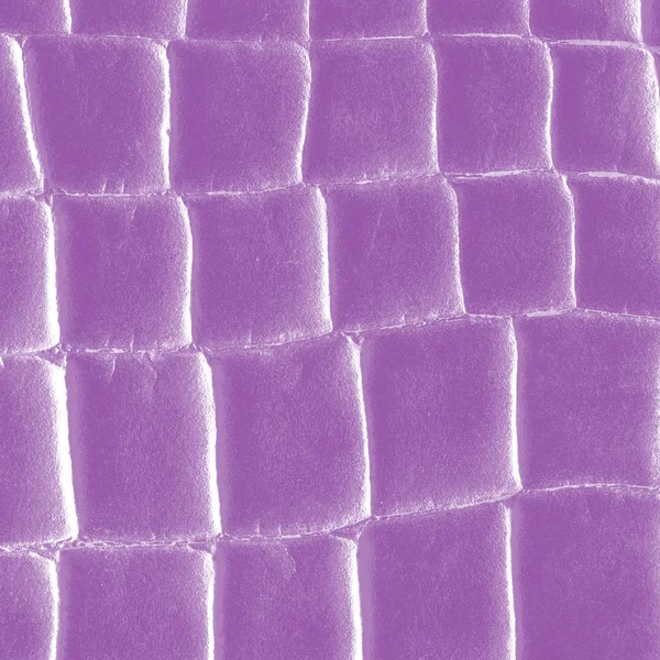 Fond de peau de serpent naturel peint en violet — Photo