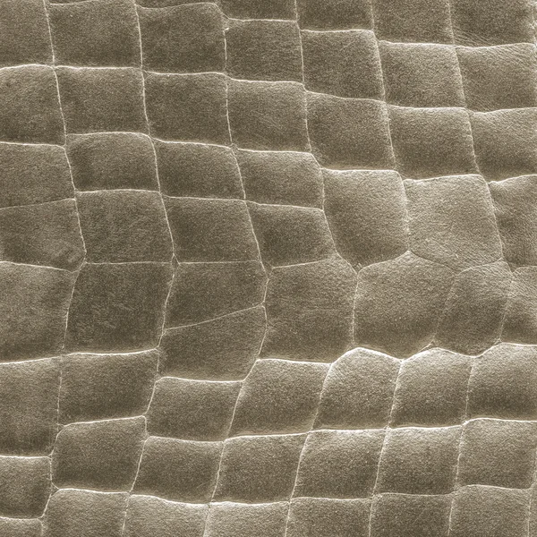 Background of brown snake skin — Stock Photo, Image