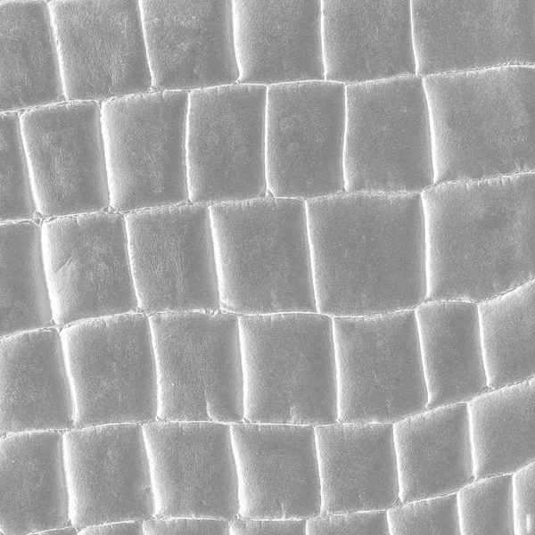 Texture pelle di serpente grigio come sfondo — Foto Stock