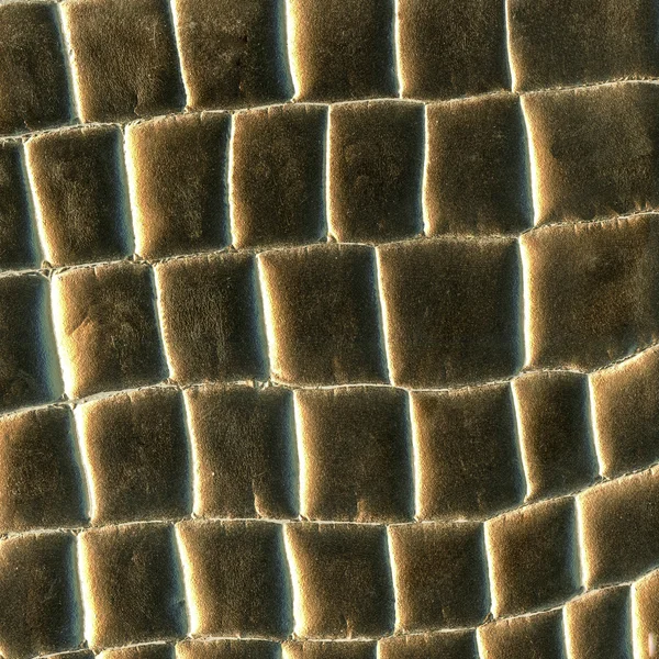 Textura de piel de serpiente de oro como fondo —  Fotos de Stock