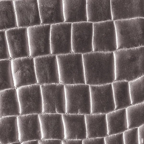 Texture della pelle di serpente — Foto Stock