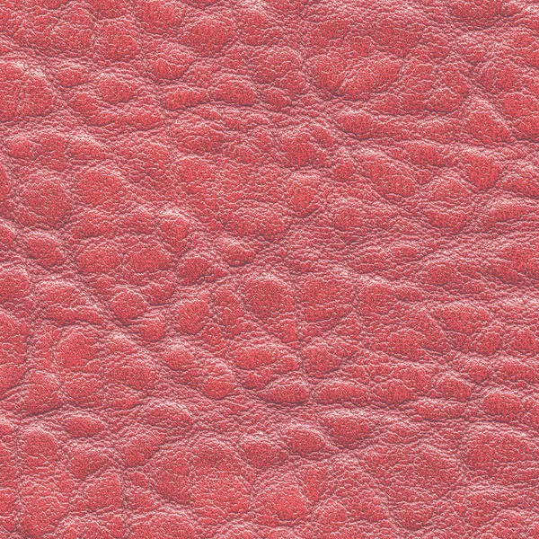 Crimson leather texture closeup — Stock Photo, Image