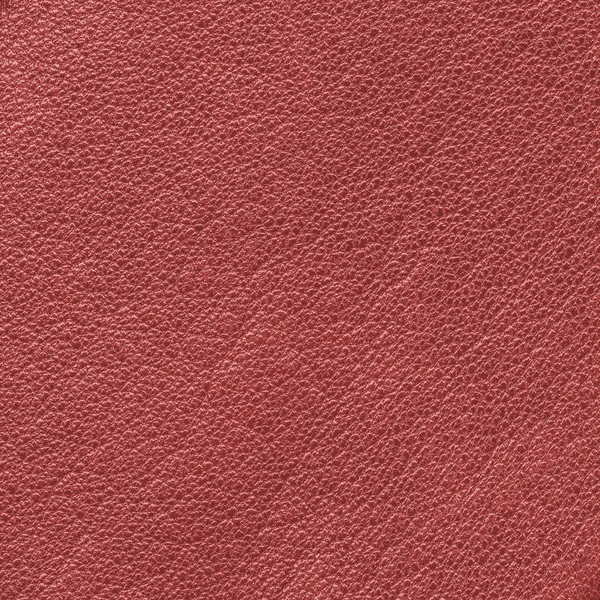 Red leather texture closeup — Stock Photo, Image