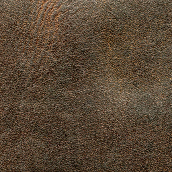 Brown leather texture — Stock Photo, Image