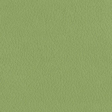 ışık yeşil deri doku. Arka plan olarak kullanılabilir