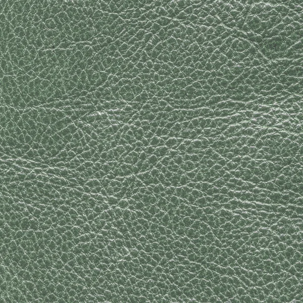 Texture cuir vert — Photo