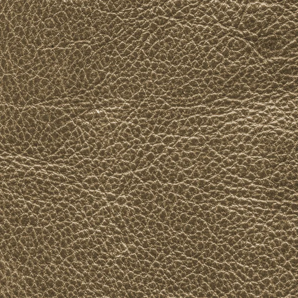 Brown leather texture — Stock Photo, Image