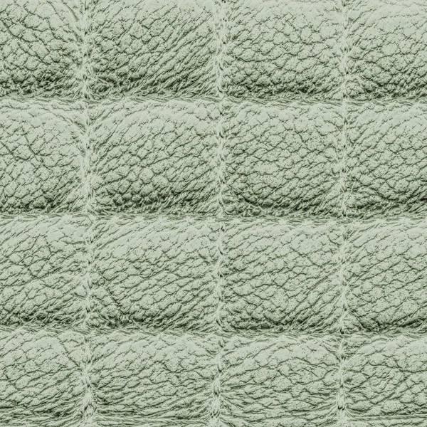 Soluk yeşil ekose renkli deri dokusu üzerinde dayalı — Stok fotoğraf