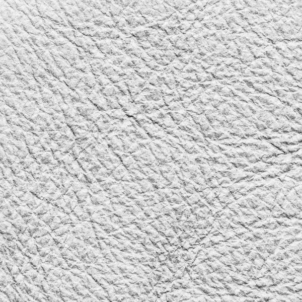 Beyaz deri dokular. kullanışlı arkaplan — Stok fotoğraf