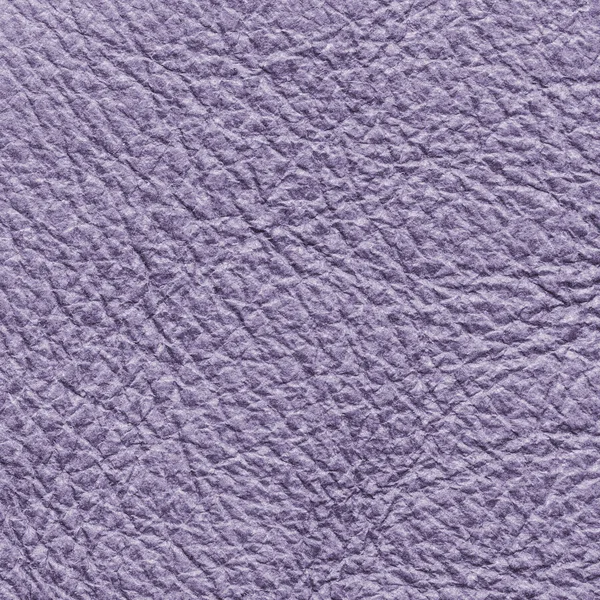 Textura de couro violeta. Útil como fundo — Fotografia de Stock