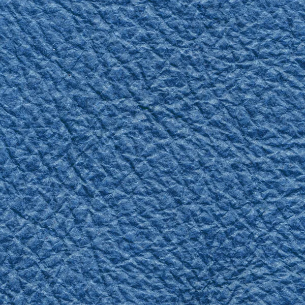 Modrá kůže textura detailní up — Stock fotografie