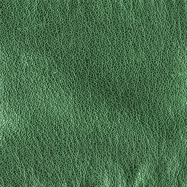 Texture cuir vert gros plan — Photo