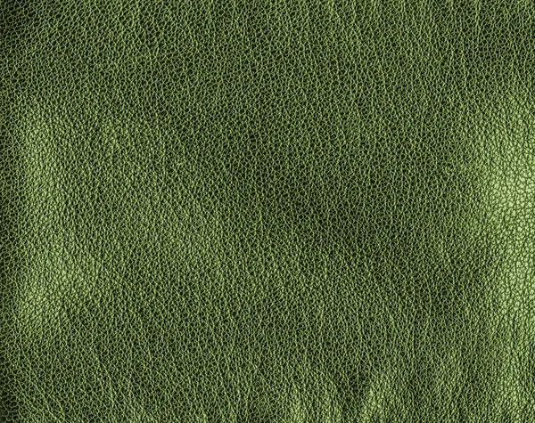 Texture cuir vert gros plan — Photo