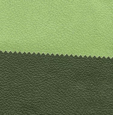 İki yeşil tonlarını oluşan deri arka plan