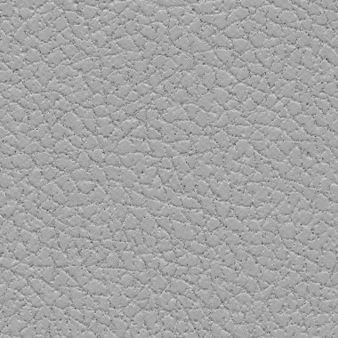 gri deri dokusu portre