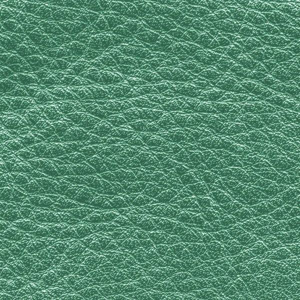 Detailní záběr textury zelené kůže — Stock fotografie